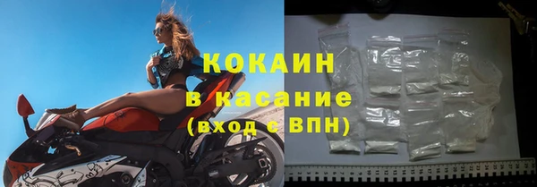 гидра Лагань