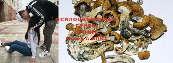 Альфа ПВП Лабытнанги