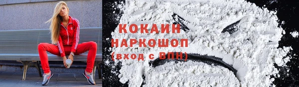 гидра Лагань