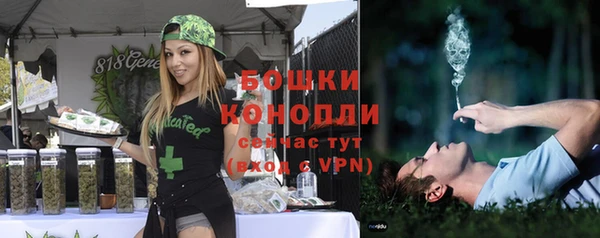 гидра Лагань